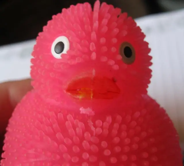 Foto do aviso oficial: Gazelo Toys Brinquedo de plástico — risco: Engasgamento