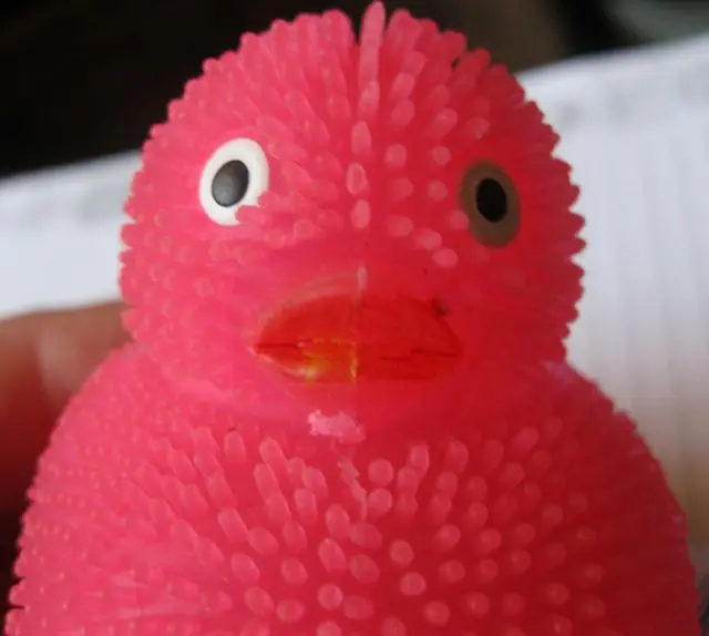 Foto do aviso oficial: Gazelo Toys Brinquedo de plástico — risco: Engasgamento