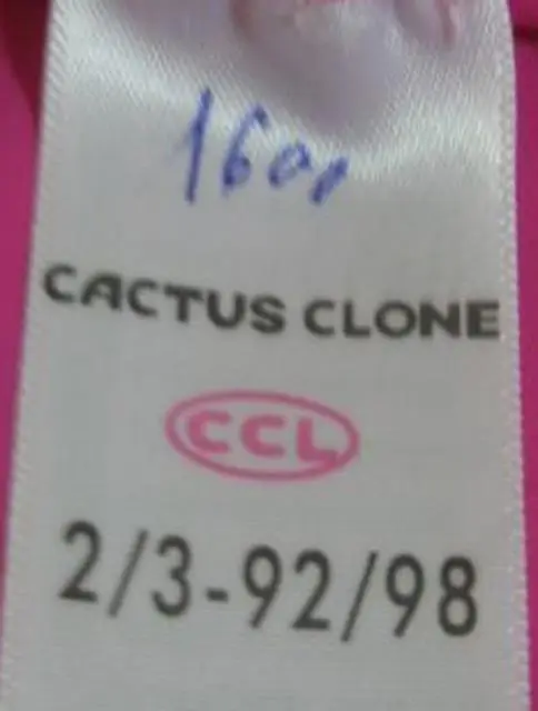 Photo de l’avis officiel: Cactus Clone Maillot de bain pour filles — risque: Blessures