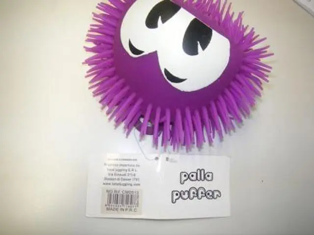 Foto do aviso oficial: Palla Puffer Brinquedo de plástico — risco: Engasgamento & Lesões oculares
