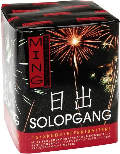 Foto uit de officiële melding: LCH Fireworks Ming Art of Fireworks / Solopgang Batterij — risico: Brandwonden & Gehoorschade