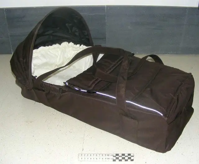 Photo from the official notice: Jedo Jedo Clara,  Jedo Malthe, Jedo Fyn carry cot — injuries risk