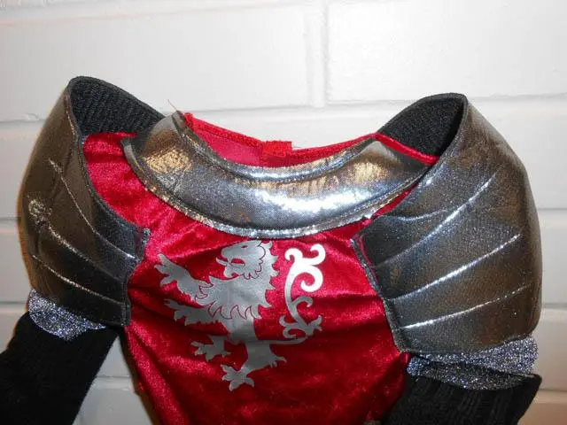 Foto dell’avviso ufficiale: Toyworld Toys Knights of the Realm Costume da abito fantasia — rischio: Lesioni & Strangolamento