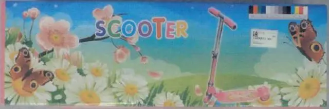 Photo de l’avis officiel: Scooter Scooter pliable pour enfants — risque: Blessures