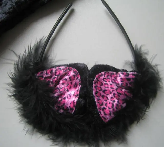 Photo de l’avis officiel: Lucida Costumes and Accessories Kitty Costume de fantaisie — risque: Brûlures