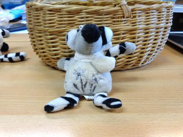 Foto do aviso oficial: Chaveiro com brinquedo macio — risco: Engasgamento