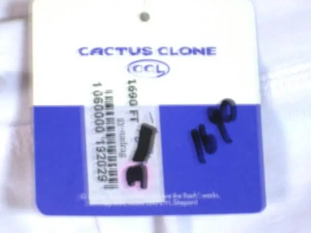 Foto do aviso oficial: Cactus Clone Disney Winnie the Pooh Calções para raparigas — risco: Ferimentos