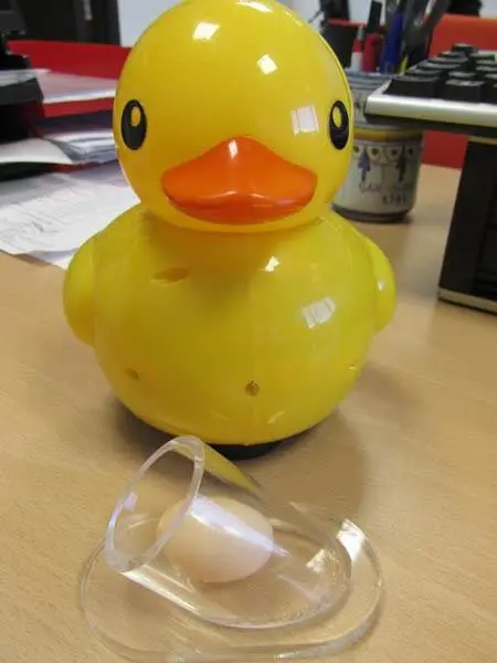 Foto do aviso oficial: CB - Color Baby Funny Duck Lay Eggs Pato-de-brinquedo — risco: Engasgamento