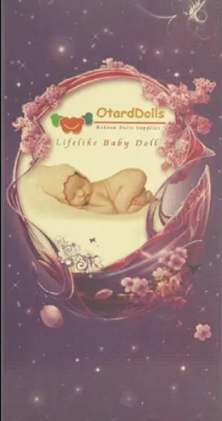 Foto do aviso oficial: OtardDolls Lifelike Baby Doll / Reborn Doll Boneca com acessórios — risco: Químico & Sufocamento