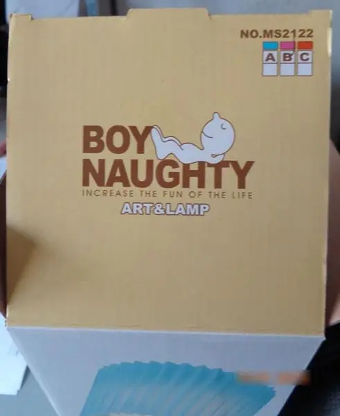 Photo from the official notice: Art &amp; lamp Boy naughty table lamp — electric shock risk