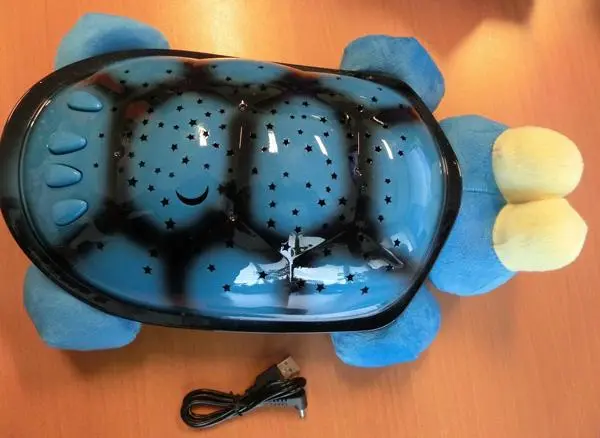 Photo from the official notice: Sublime Musical Snail Twilight plastic turtle — environment risk
