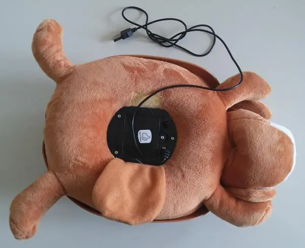 Foto dell’avviso ufficiale: GLOW-PILLOW.COM Glow Pillow Cane giocattolo elettrico — rischio: Scossa elettrica