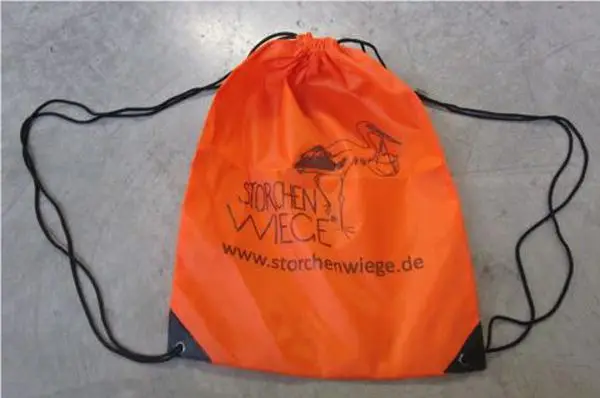 Photo from the official notice: Storchenwiege Baby Carrier — strangulation & suffocation risk