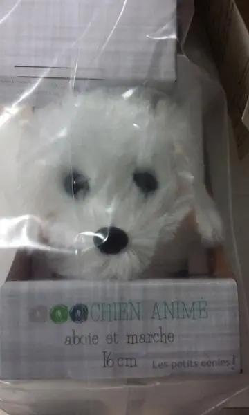 Photo de l’avis officiel: Les petits génies Chien animé [animated dog] Jouet doux interactif — risque: Brûlures