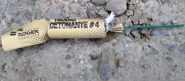 Photo from the official notice: Salon Roger Fireworks Trueno — damage to hearing risk