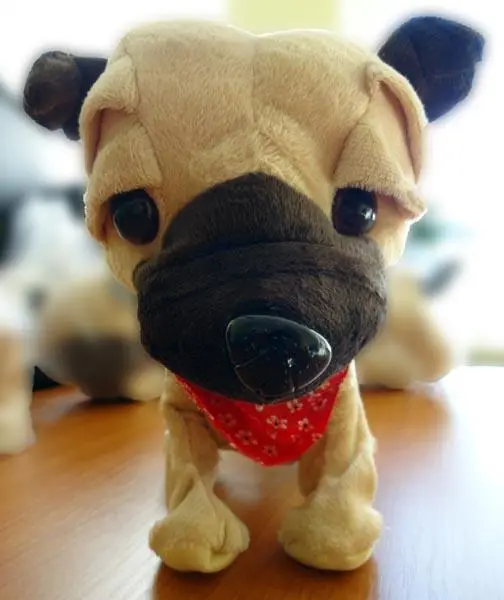 Foto do aviso oficial: Brinquedo macio-cheio — risco: Químico (A11/0071/19)