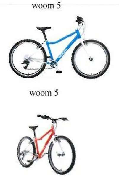 Photo de l’avis officiel: woom woom 4, woom 5 and woom 6 Vélo pour enfants — risque: Blessures