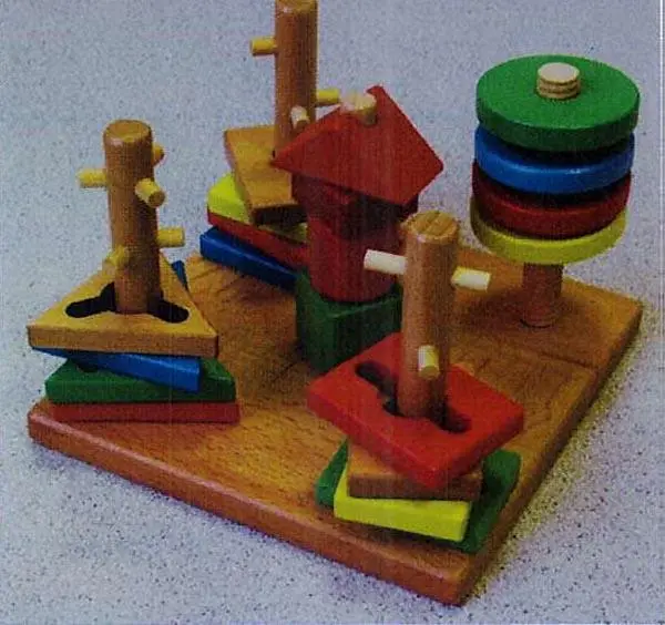 Photo de l’avis officiel: Wood Toys Multi-color Wisdom Plate Jouet en bois — risque: Étouffement