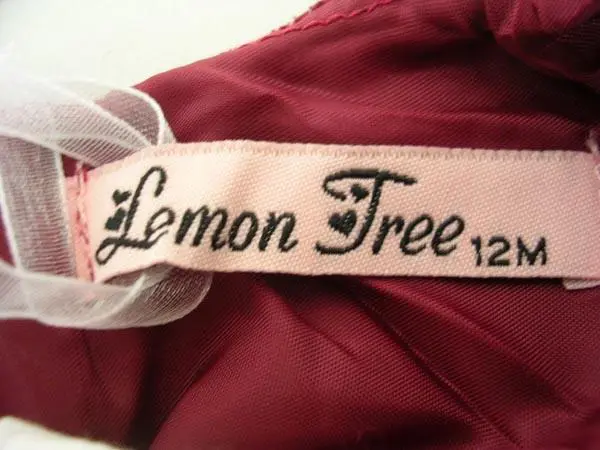 Foto aus der offiziellen Meldung: Lemon Tree Kleidungsset für Mädchen — Risiko: Ersticken