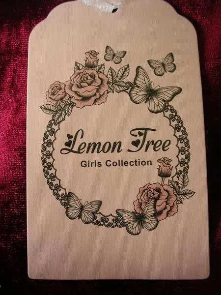 Foto aus der offiziellen Meldung: Lemon Tree Kleidungsset für Mädchen — Risiko: Ersticken
