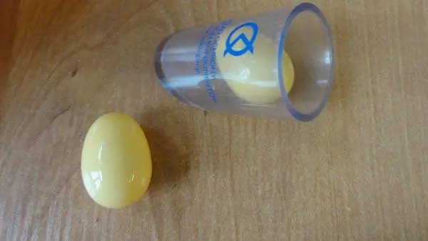 Foto aus der offiziellen Meldung: P.H. KRIS TAEM/Happy farm Animal raw eggs Push-along Spielzeug — Risiko: Ersticken