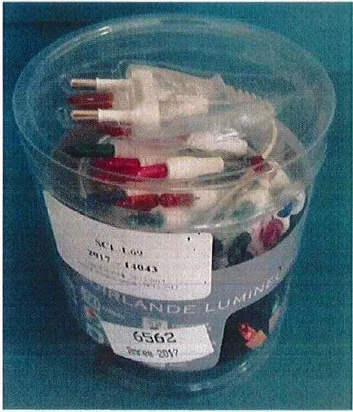 Photo from the official notice: LIGHTS GUIRLANDE LUMINEUSE lighting chain — electric shock risk