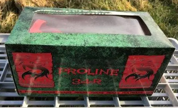 Photo from the official notice: Fyrværkerieksperten a/s Proline 34R firework — burns risk
