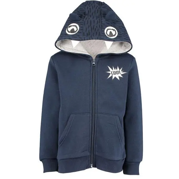 Photo de l’avis officiel: Zeeman Children’s Hoody Veste — risque: Risque chimique