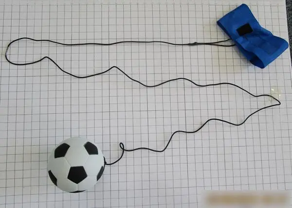 Foto dell’avviso ufficiale: Wrist Ball Palla da polso yo-yo — rischio: Strangolamento