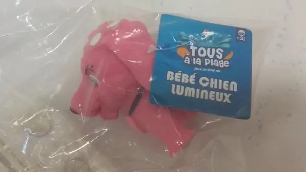 Foto do aviso oficial: Tous à la plage Bébé chien lumineux Brinquedo luminoso — risco: Engasgamento