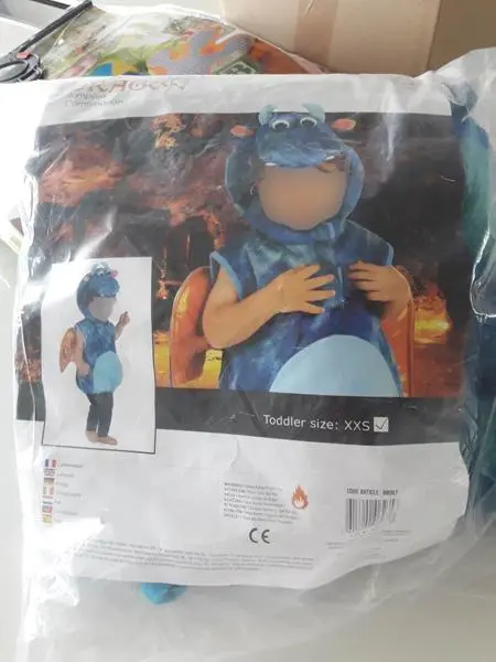 Photo de l’avis officiel: DRAGON Costume de fantaisie pour enfants — risque: Risque chimique