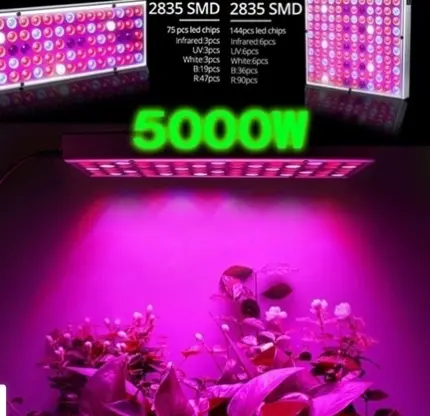 Photo from the official notice: 75pcs LED Plant Grow Light — fire & electric shock risk