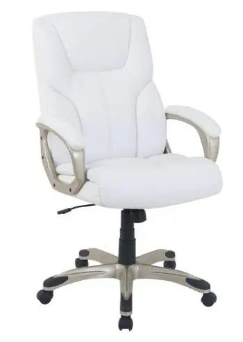 Photo from the official notice: Amazon Basics Executive Desk Chairs — falls risk