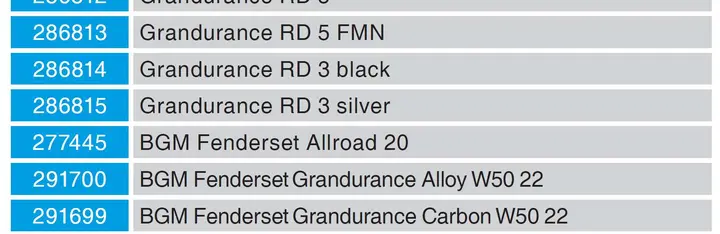 Photo from the official notice: BERGAMONT Grandurance & Sweep Road Bike — falls risk