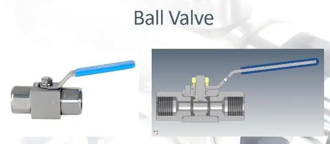 Photo from the official notice: Colson X-Cel Limited - BHSX Ball Valves — injuries risk