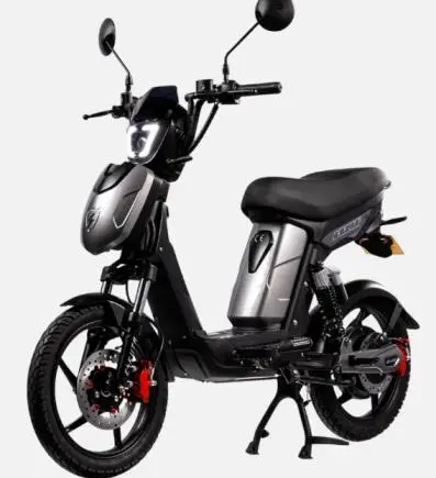 Photo from the official notice: Eskuta SX-250 E-Bikes modified and sold by BR Ebikes Limited — injuries risk