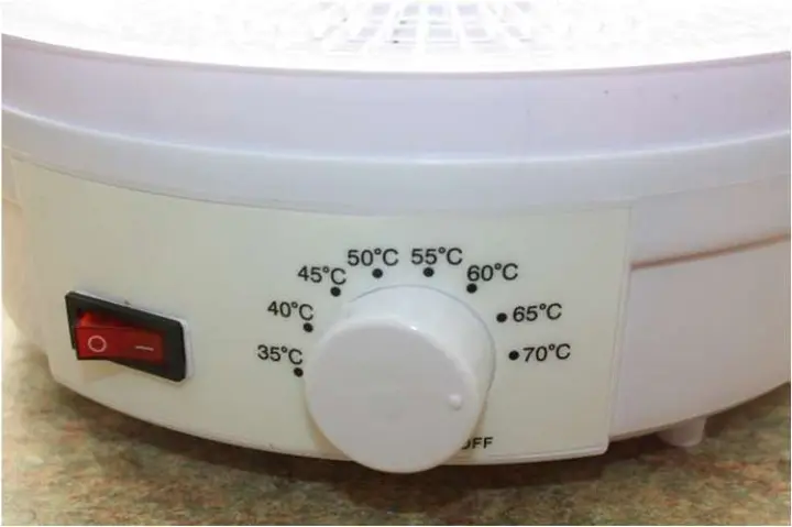 Photo from the official notice: Food Dehydrator SMX-01 — burns risk