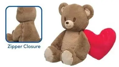 Photo from the official notice: Heartwarming Hugs Bear 2 with Zipper Closure — choking risk