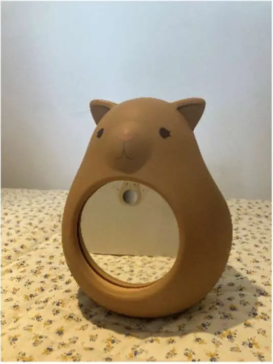 Photo from the official notice: Konges Sloejd Baby Mirror KS2497 — injuries risk