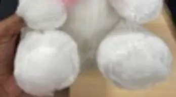 Photo from the official notice: LED Flash Light Bear Soft Toy — suffocation risk