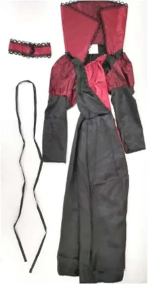 Photo from the official notice: Licus Girls Royal Vampire Halloween Costume G-0108 sold via Amazon — entrapment risk