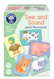 Photo from the official notice: Orchard Toys See and Sound Giant Flashcards — microbiological risk