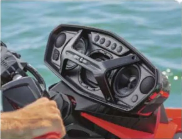Photo from the official notice: Sea-Doo Spark Audio Portable System — injuries risk
