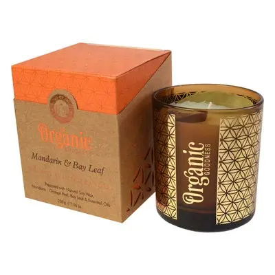 Photo from the official notice: Song of India Candles - Palo Santo & Cedar and Mandarin & Bay Leaf — burns risk