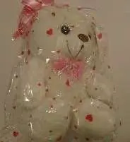 Photo from the official notice: Toys For Girls LED Light Stuffed Bear — choking risk