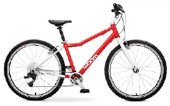 Photo from the official notice: woom Children's Bicycles and Balance Bikes — falls risk