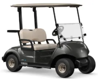 Photo from the official notice: Yamaha Motor Golf Buggy & UMX Drive 2, Drive 2 PTT, UMX Year 2016 to Year 2022 — injuries risk