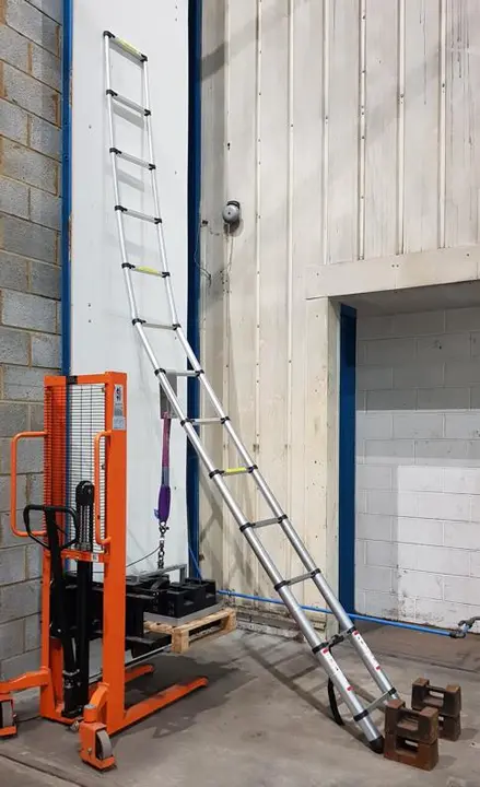 Photo from the official notice: 5M Telescopic Ladder, 5MJ (2401-0158 and 2401-0140) — falls risk