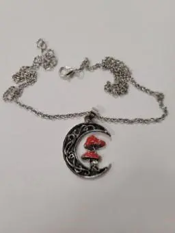 Photo from the official notice: Allereya Necklace and Earrings sold via Amazon — chemical risk