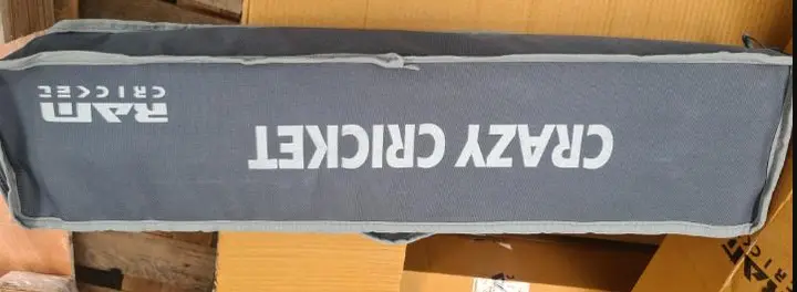Photo from the official notice: ALOB Crazy Cricket Set — chemical risk